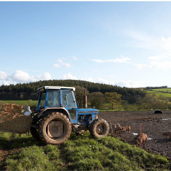 Where Can Rural Communities Start With Prevention?