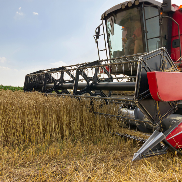 What is Rural Crime Really Costing Farmers?