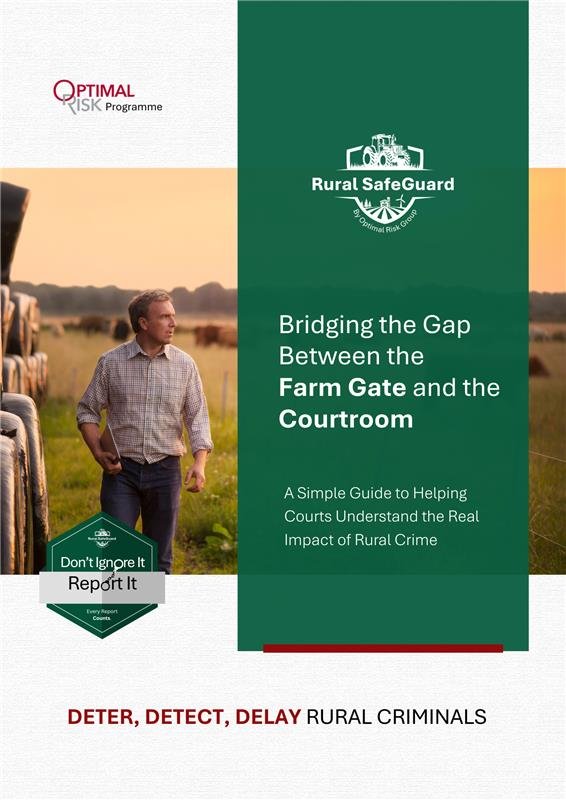 Victim Impact Statement Guide